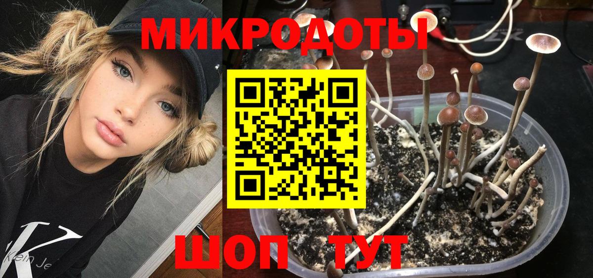 Галлюциногенные грибы Magic Shrooms  Вход с VPN  Егорьевск 